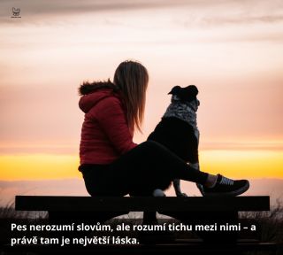 Někdy nepotřebujeme nic říkat. Stačí, že je vedle nás. 🐶❤️ 👉 Máte i vy se svým psem chvíle, kdy stačí ticho?