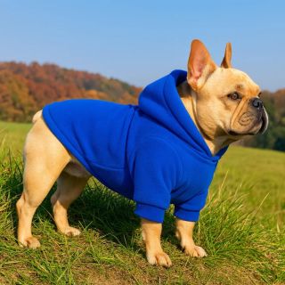 Beránková mikina pro psa v modré barvě je měkká, teplá a šitá na míru. Pohodlný obleček pro psy na míru na chladné dny....